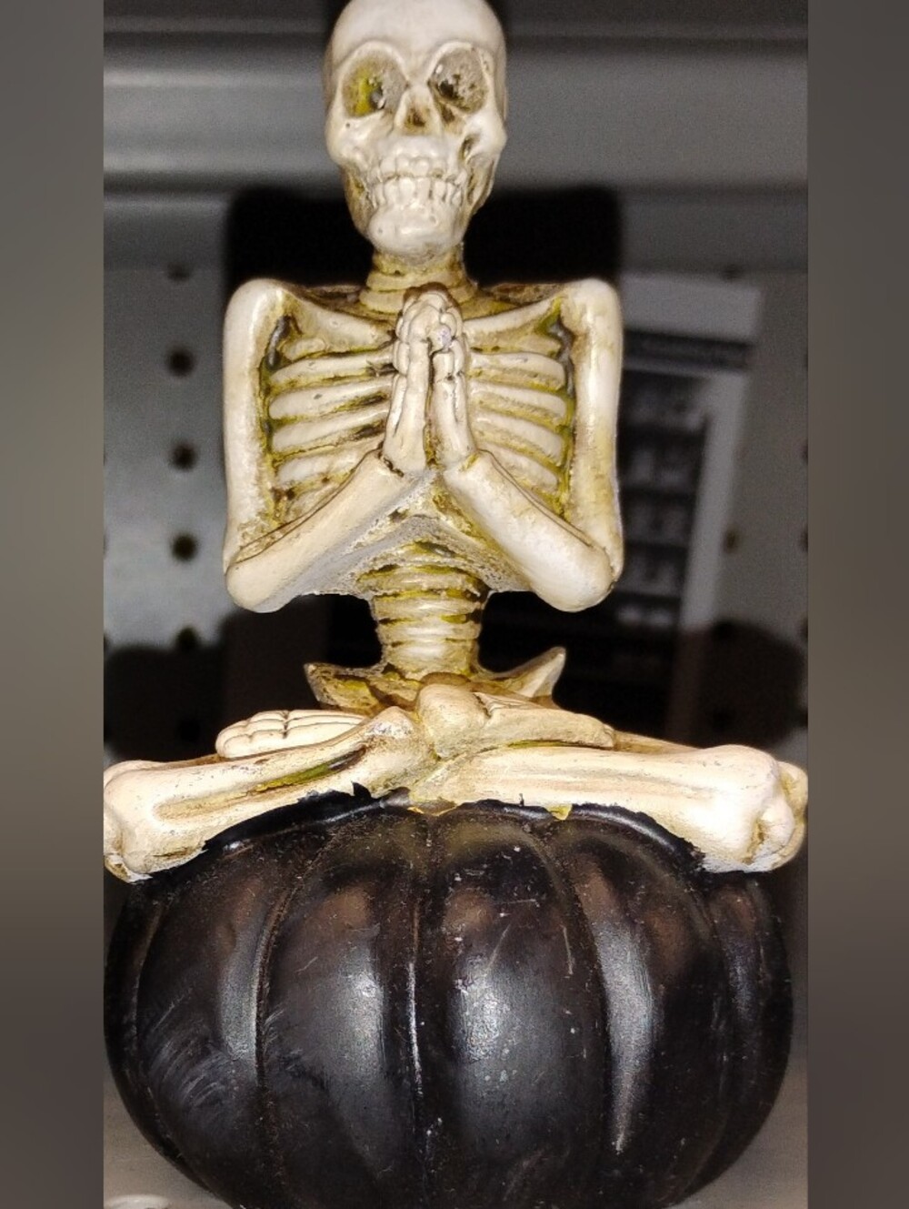 Skeleton Yoga Terrarium Pumpkin Decor - Cream and Black